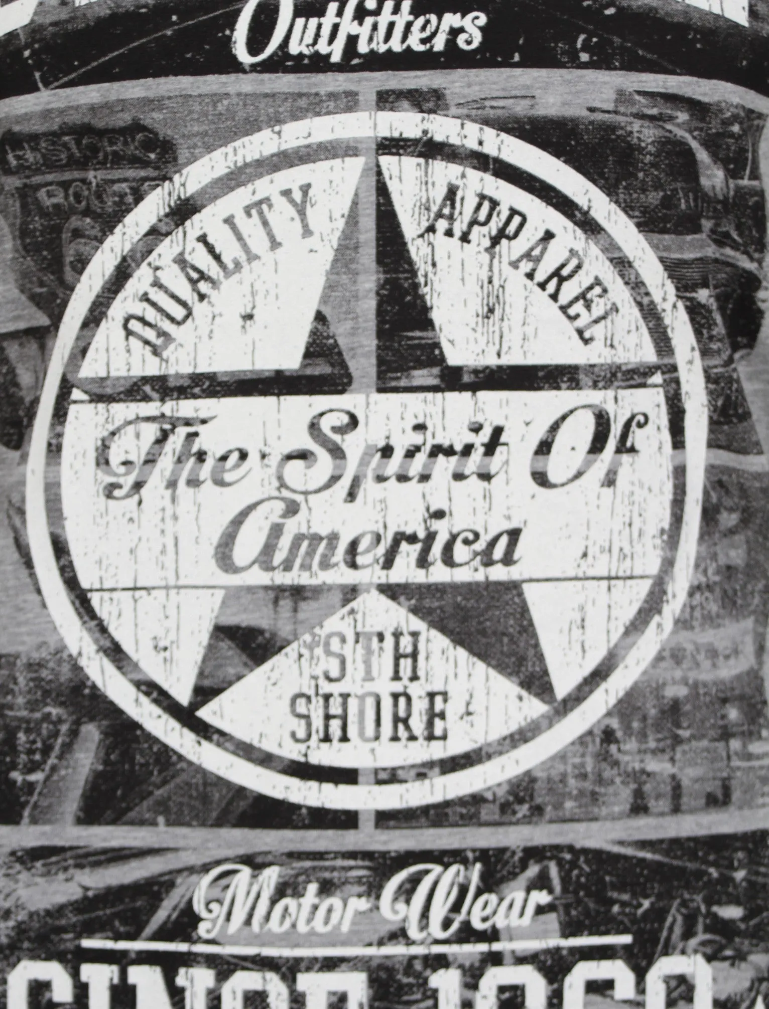 American Spirit Print T-Shirt in Light Grey  - South Shore