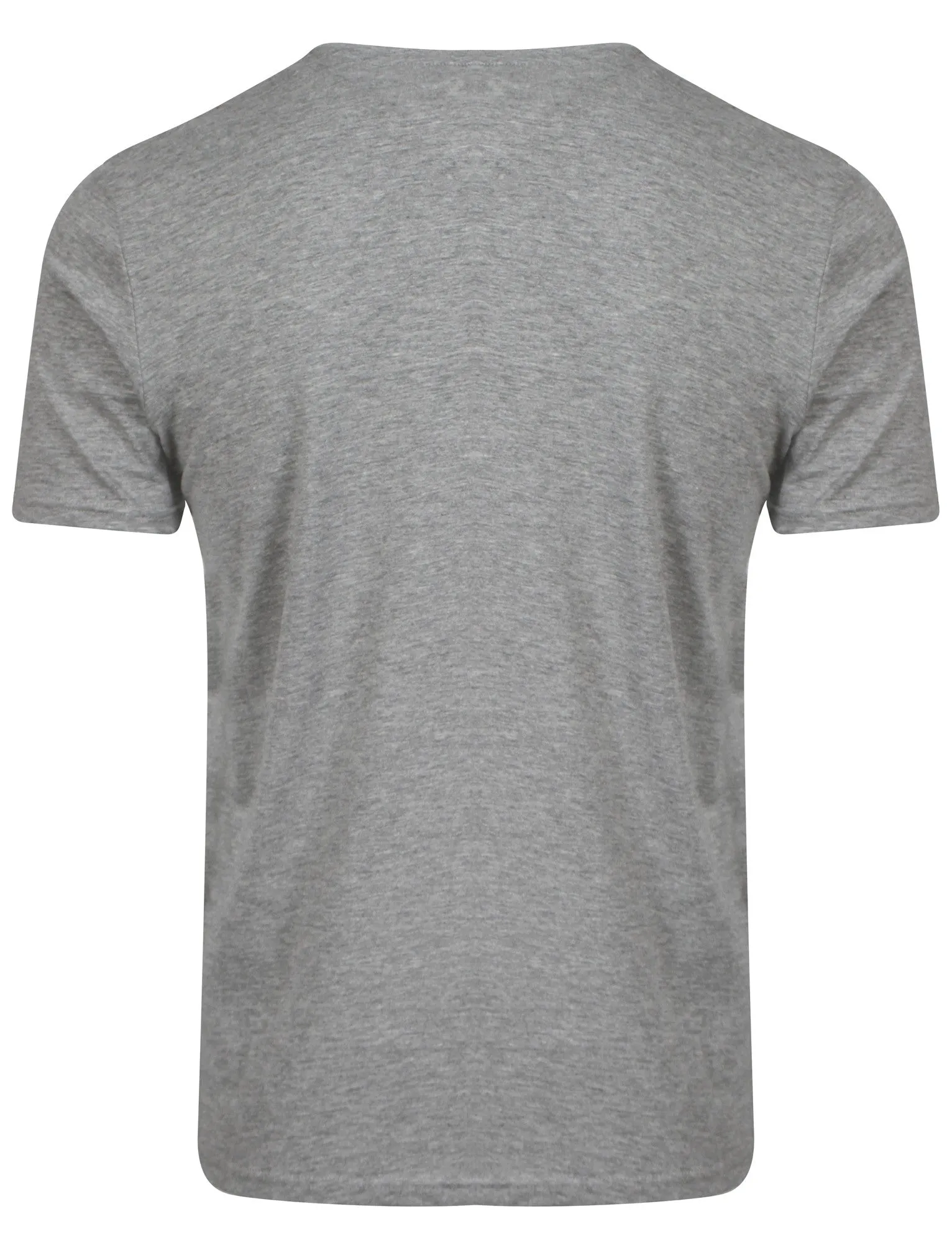 American Spirit Print T-Shirt in Light Grey  - South Shore