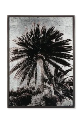 Black And White Artwork | Andrew Martin Venice Palm Trees