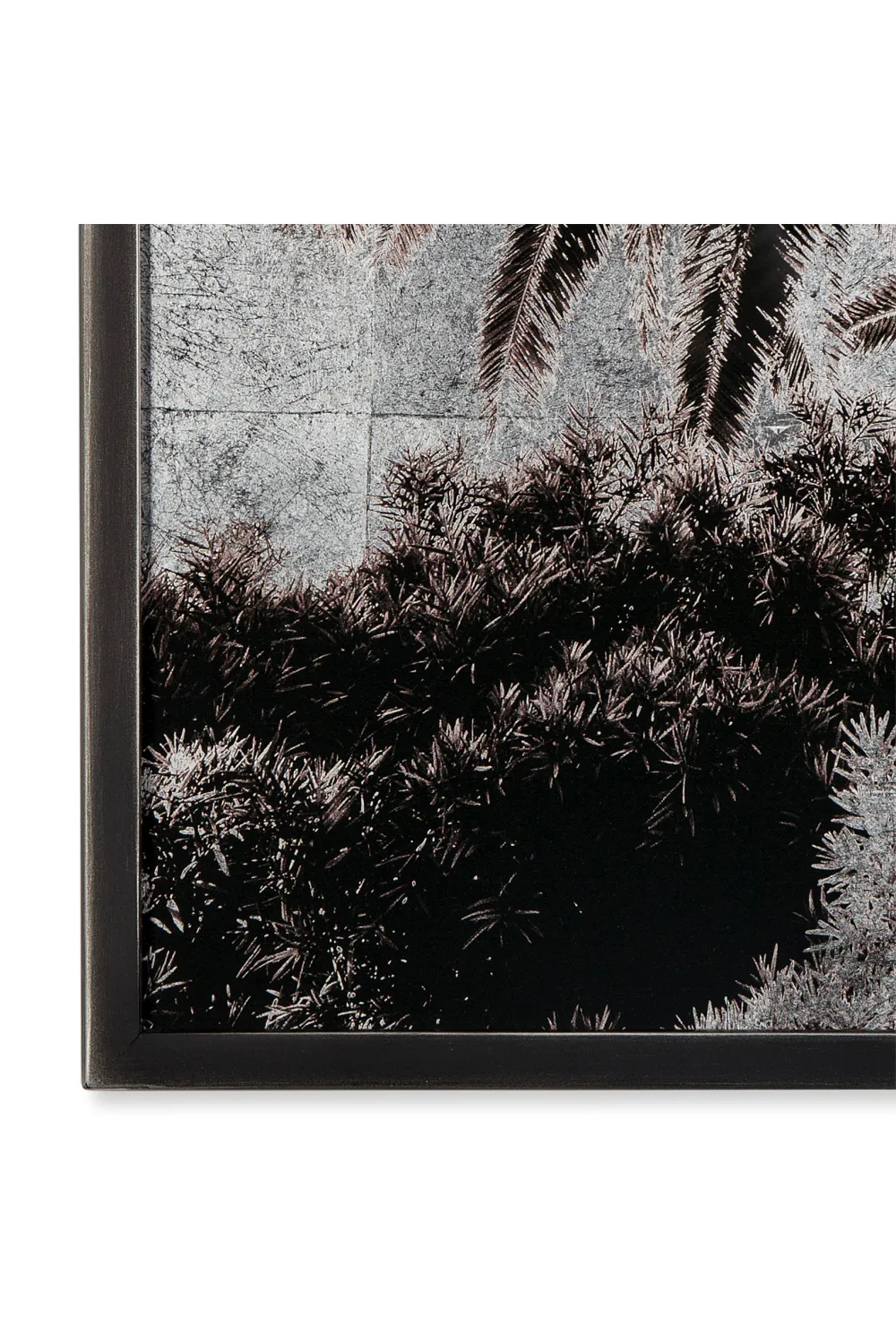 Black And White Artwork | Andrew Martin Venice Palm Trees