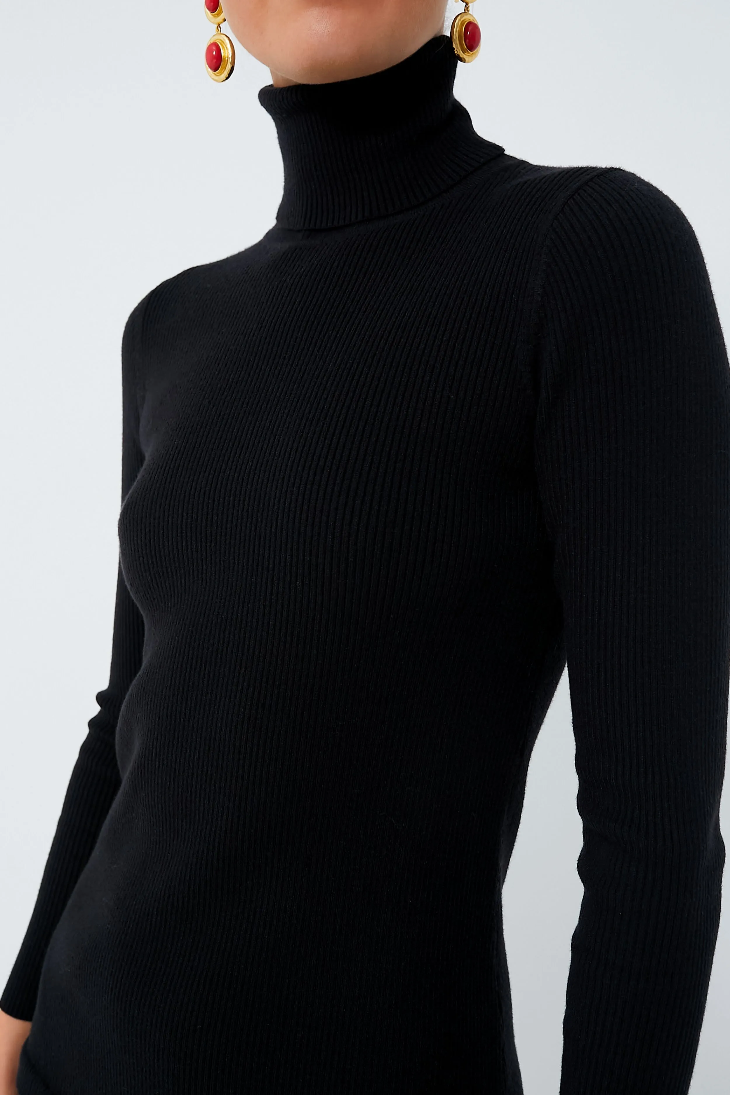 Black Baxter Turtleneck Dress