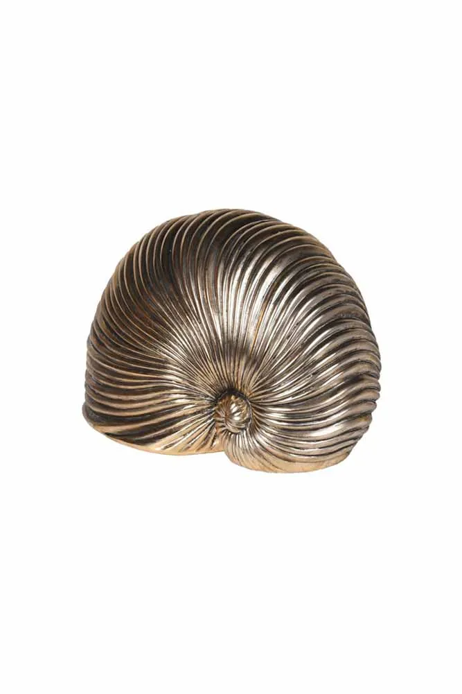 Brushed Gold Faux Sea Shell Ornament