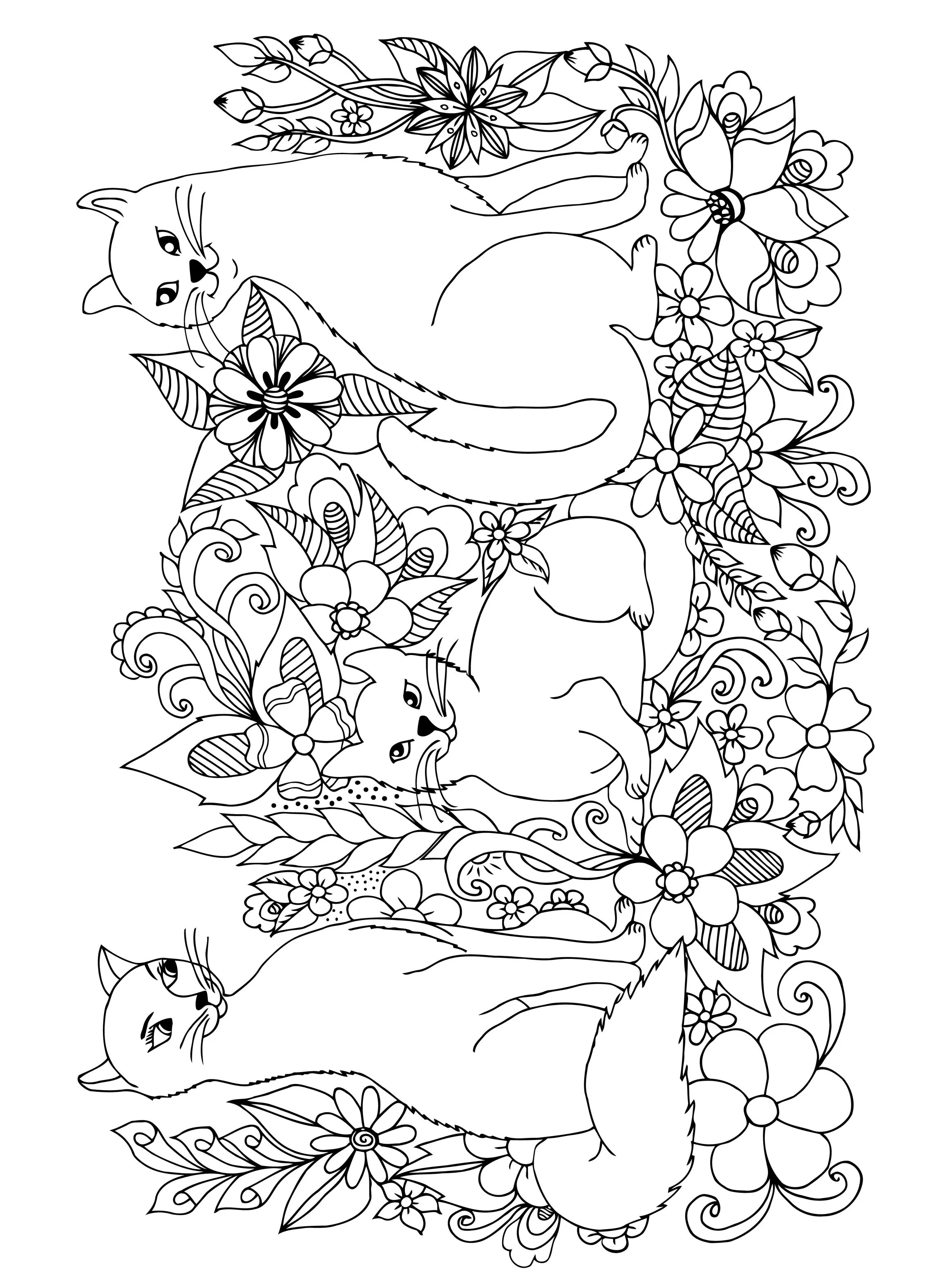 Coloring Cats - Adult Coloring Book: Volume 14, Contains 47 Pawesome Prints Ready to Frame