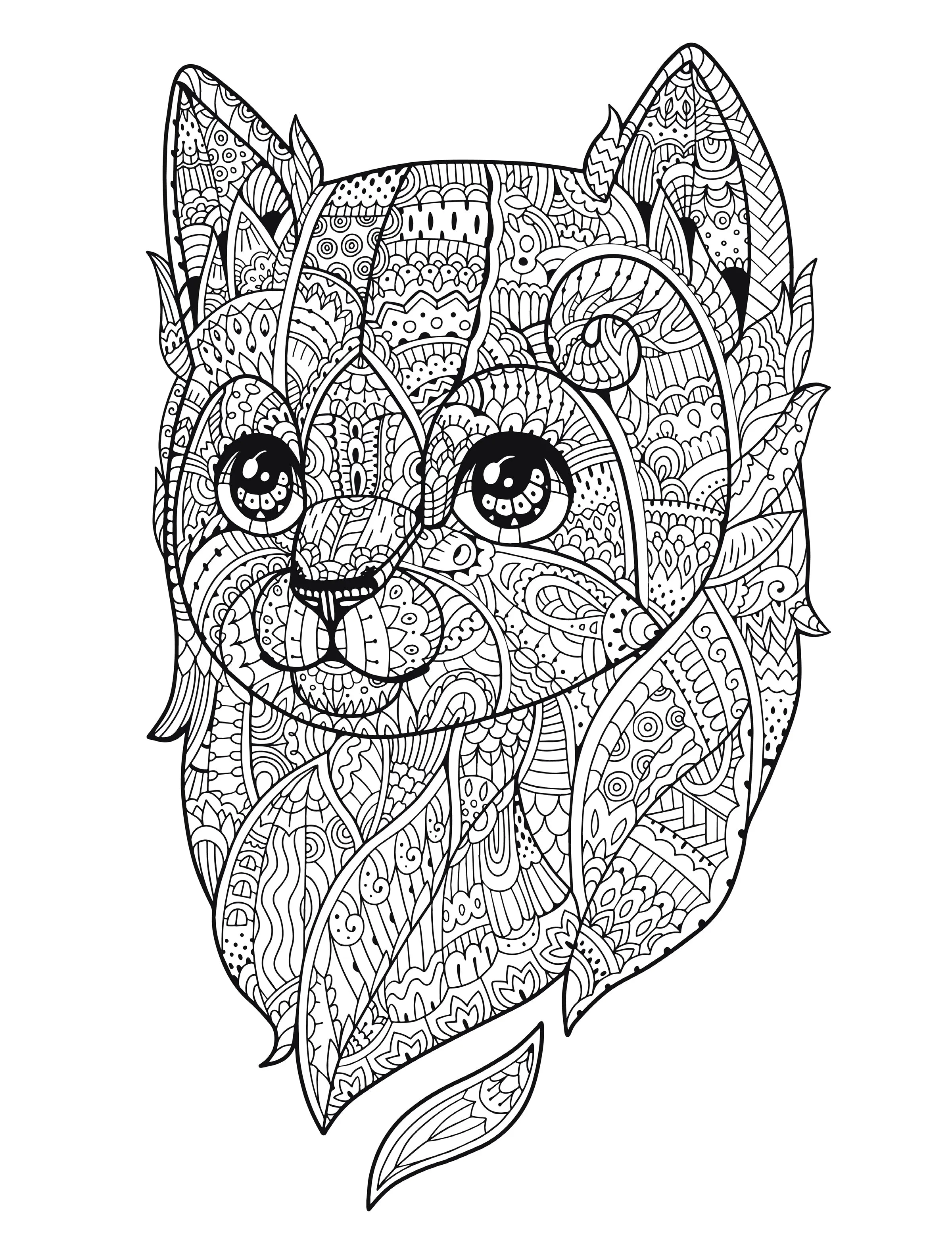 Coloring Cats - Adult Coloring Book: Volume 7, Contains 47 Pawesome Prints Ready to Frame  V7