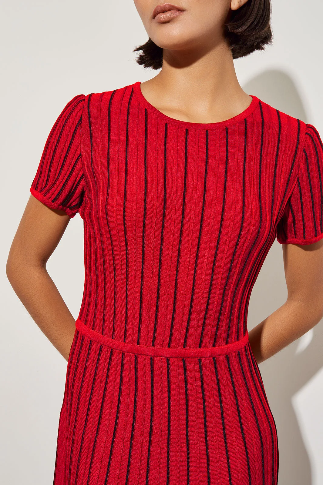 Jewel Neck Striped Flare Soft Knit Dress, Garnet