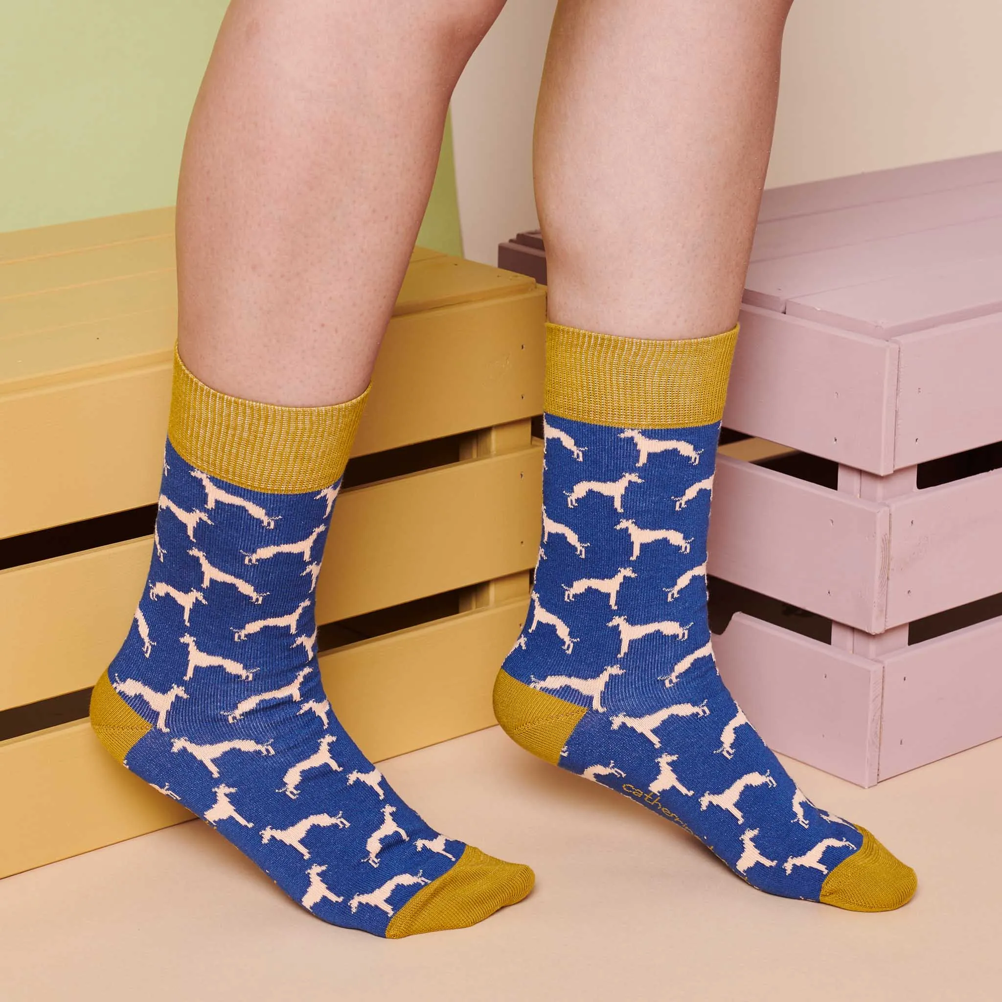 Ladies Navy Whippet Organic Cotton Ankle Socks