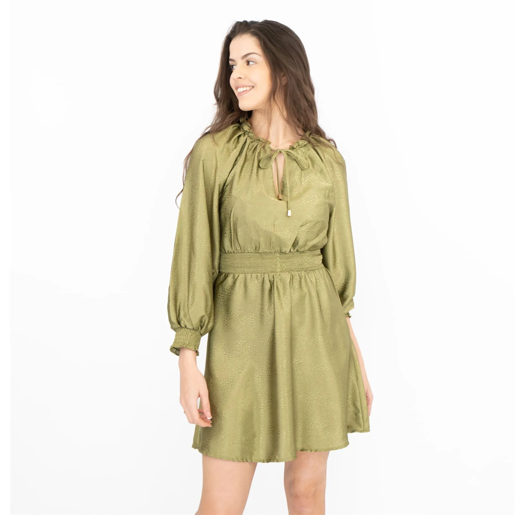 Next Long Sleeve Green Jacquard Flare Dress